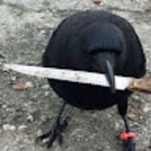 Meet your Posher, Gloom